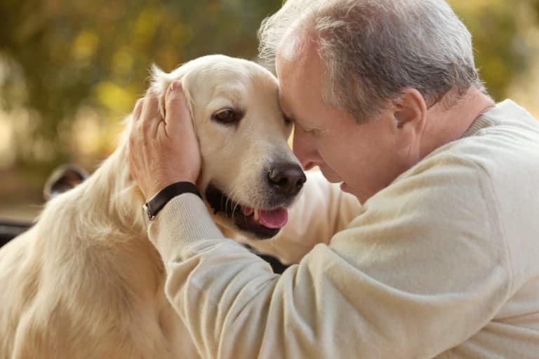 Beneficios de las terapias con animales para personas mayores